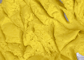Corn Dough